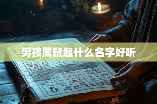 男孩属鼠起什么名字好听
