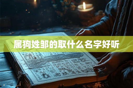 属狗姓邹的取什么名字好听