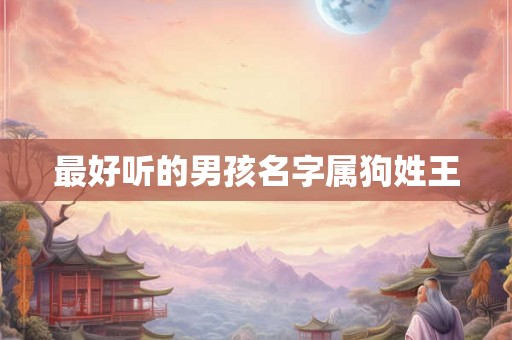 最好听的男孩名字属狗姓王
