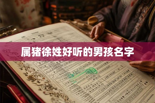 属猪徐姓好听的男孩名字