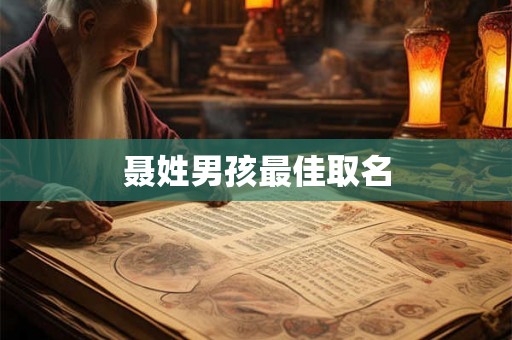 聂姓男孩最佳取名