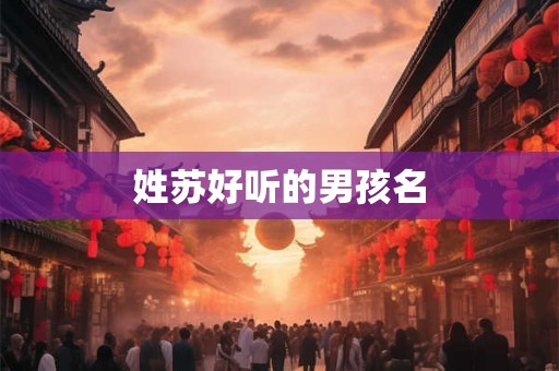 姓苏好听的男孩名