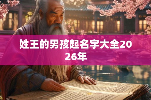姓王的男孩起名字大全2026年