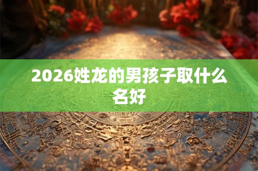 2026姓龙的男孩子取什么名好