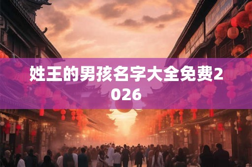 姓王的男孩名字大全免费2026