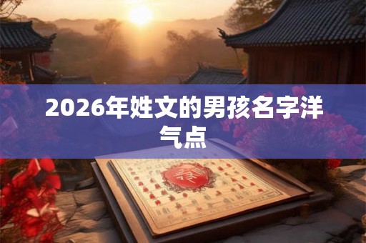 2026年姓文的男孩名字洋气点