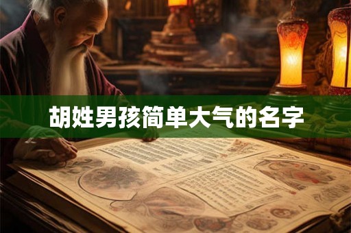 胡姓男孩简单大气的名字