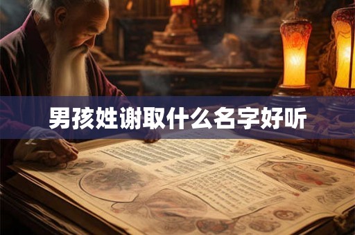 男孩姓谢取什么名字好听