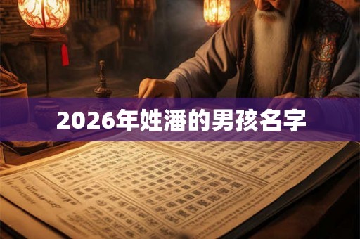 2026年姓潘的男孩名字