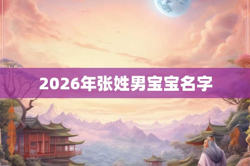 2026年张姓男宝宝名字