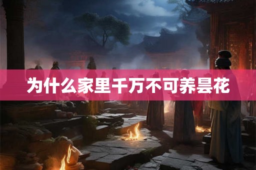 为什么家里千万不可养昙花