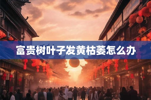 富贵树叶子发黄枯萎怎么办