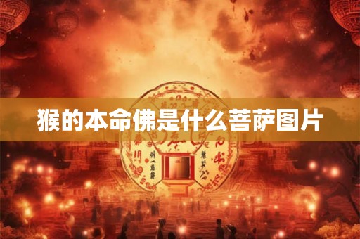 猴的本命佛是什么菩萨图片