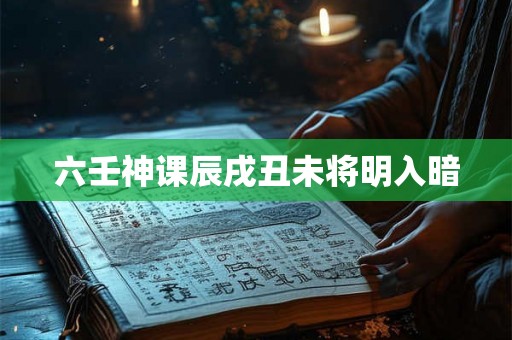 六壬神课辰戌丑未将明入暗