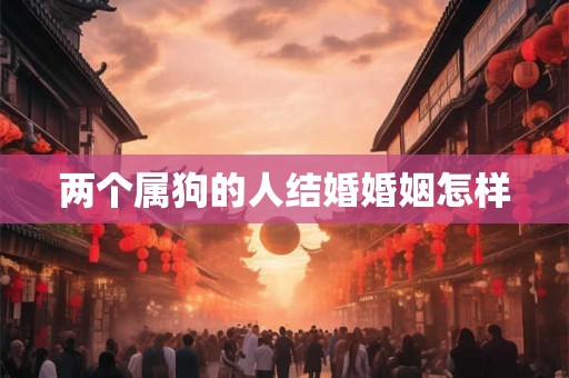两个属狗的人结婚婚姻怎样