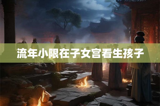 流年小限在子女宫看生孩子