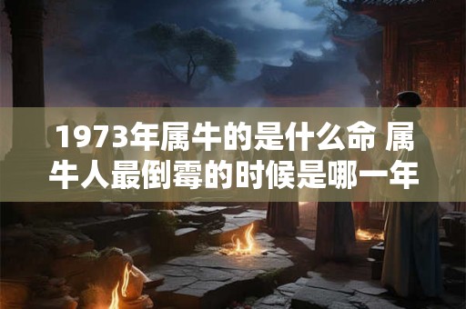 1973年属牛的是什么命 属牛人最倒霉的时候是哪一年