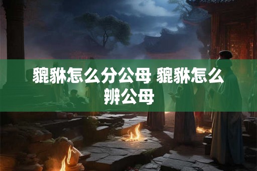 貔貅怎么分公母 貔貅怎么辨公母