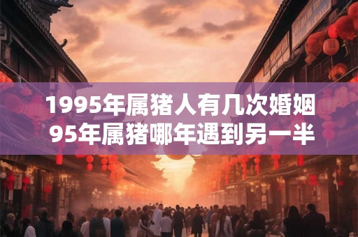 1995年属猪人有几次婚姻 95年属猪哪年遇到另一半
