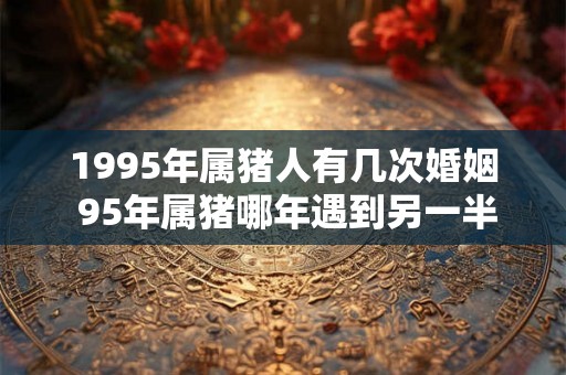 1995年属猪人有几次婚姻 95年属猪哪年遇到另一半