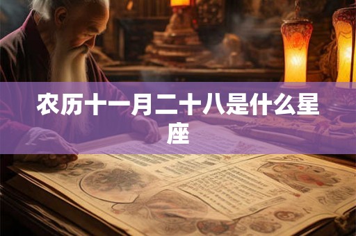 农历十一月二十八是什么星座