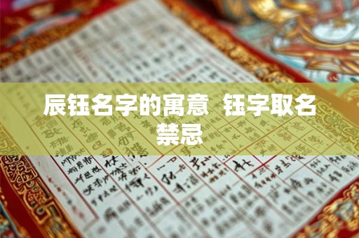 辰钰名字的寓意 钰字取名禁忌 辰钰名字的寓意 钰字取名禁忌