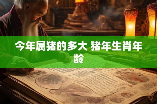 今年属猪的多大 猪年生肖年龄 今年属猪的多大 猪年生肖年龄