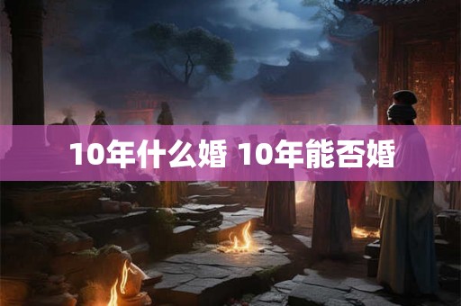 10年什么婚 10年能否婚 10年什么婚 10年能否婚
