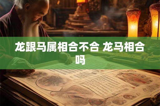 龙跟马属相合不合 龙马相合吗 龙跟马属相合不合 龙马相合吗