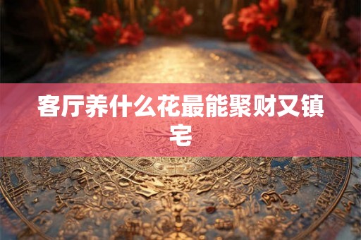 客厅养什么花最能聚财又镇宅