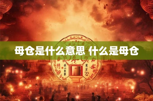 母仓是什么意思 什么是母仓