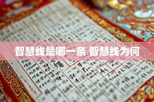 智慧线是哪一条 智慧线为何 智慧线是哪一条 智慧线为何