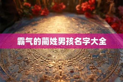 霸气的蔺姓男孩名字大全