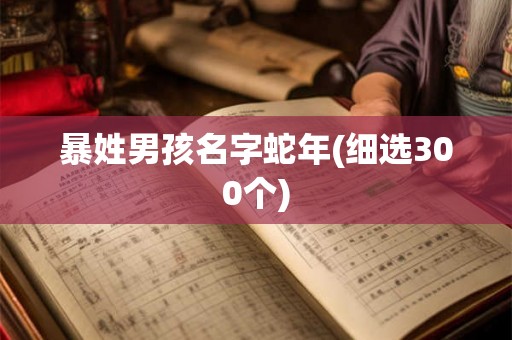 暴姓男孩名字蛇年(细选300个)