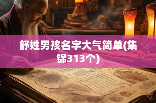 舒姓男孩名字大气简单(集锦313个)
