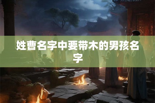 详细阅读:姓曹名字中要带木的男孩名字 姓曹名字中要带木的男孩名字