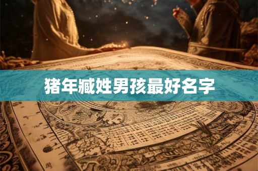 猪年臧姓男孩最好名字