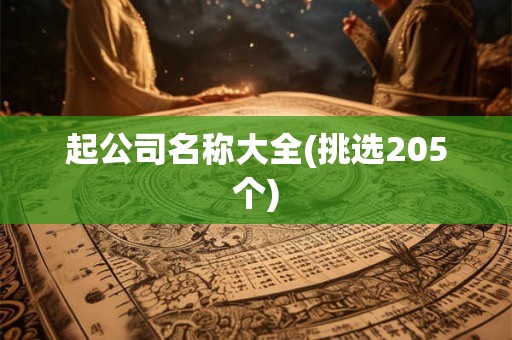 起公司名称大全(挑选205个)