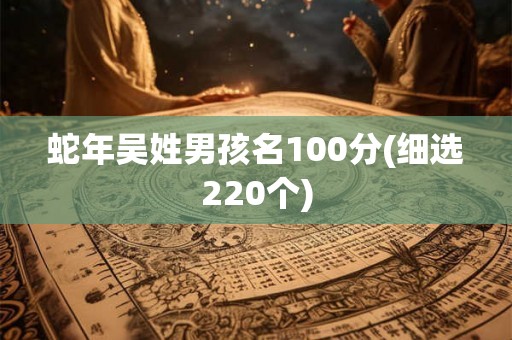 蛇年吴姓男孩名100分(细选220个)