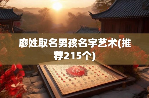 廖姓取名男孩名字艺术(推荐215个)