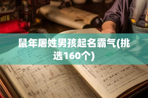 鼠年屠姓男孩起名霸气(挑选160个)