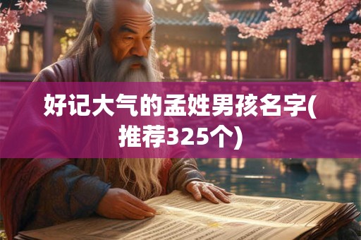 好记大气的孟姓男孩名字(推荐325个)