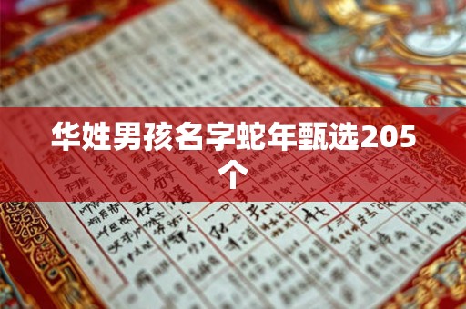 华姓男孩名字蛇年甄选205个