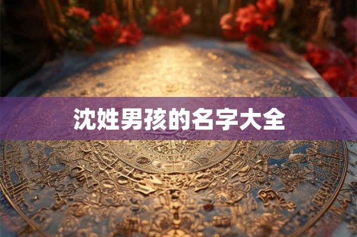 沈姓男孩的名字大全