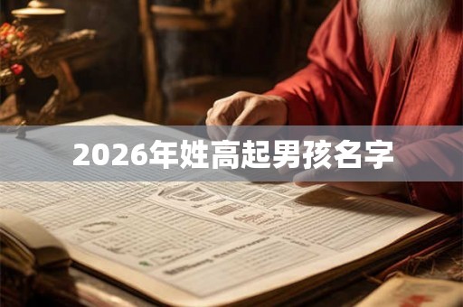 2026年姓高起男孩名字