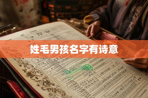 姓毛男孩名字有诗意