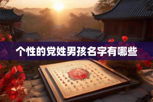 个性的党姓男孩名字有哪些