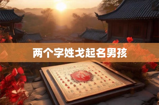 两个字姓戈起名男孩