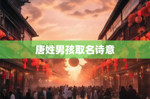 唐姓男孩取名诗意